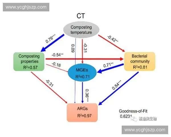 以体育竞技能力评估为核心的综合表现分析与发展路径研究模型构建