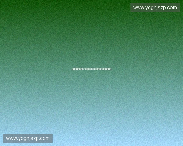 赛事志愿者全方位服务体验与赛事顺利举办的重要作用探索